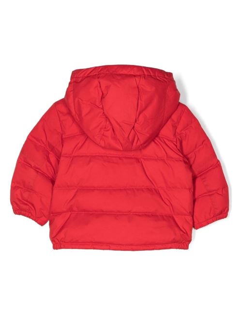 320880419/003 RALPH LAUREN