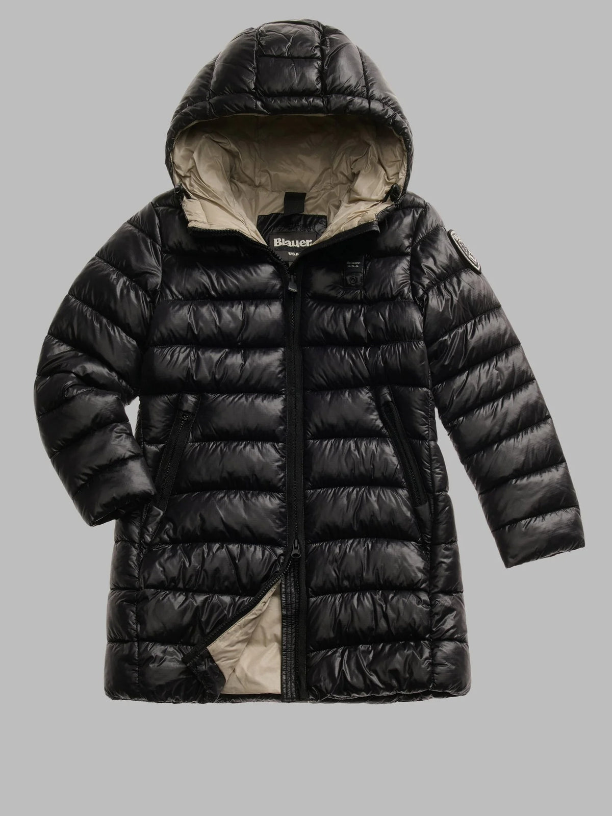 25WBLGK02390 006648/999EI BLAUER