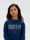 IB0IB02527J/C3I CALVIN KLEIN