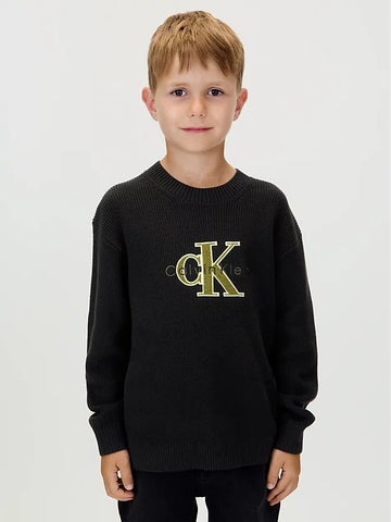 IB0IB02598T/BEH CALVIN KLEIN