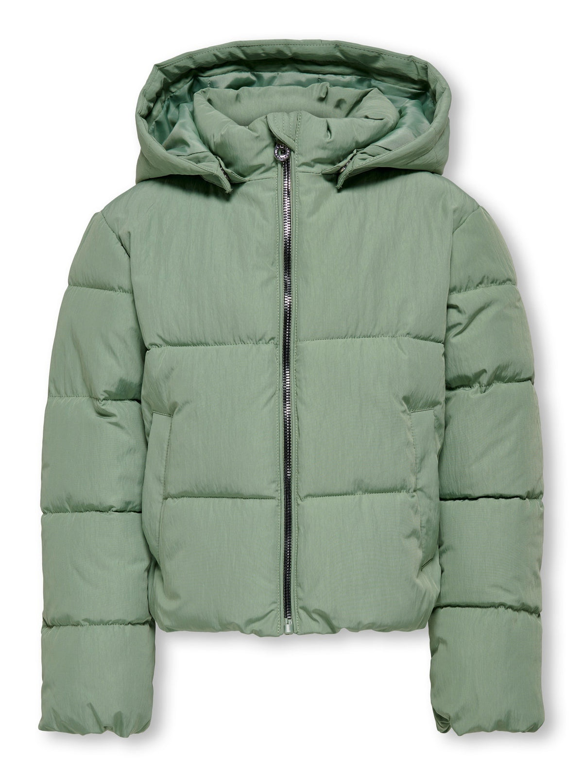15278591/HEDGE GREEN ONLY KIDS