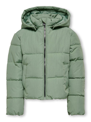 15278591/HEDGE GREEN ONLY KIDS