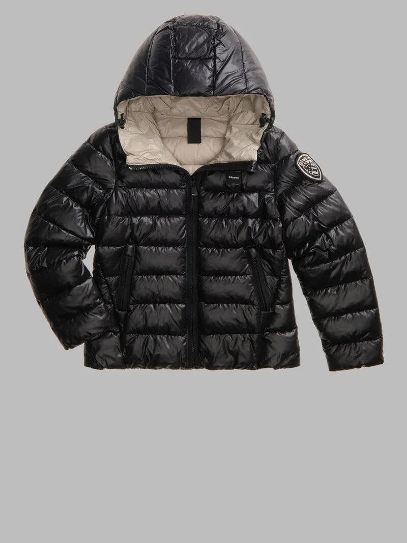 26WBLGC02295 006648/999EI BLAUER