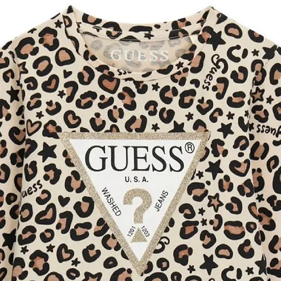 K6BI07K5805/PMTU GUESS