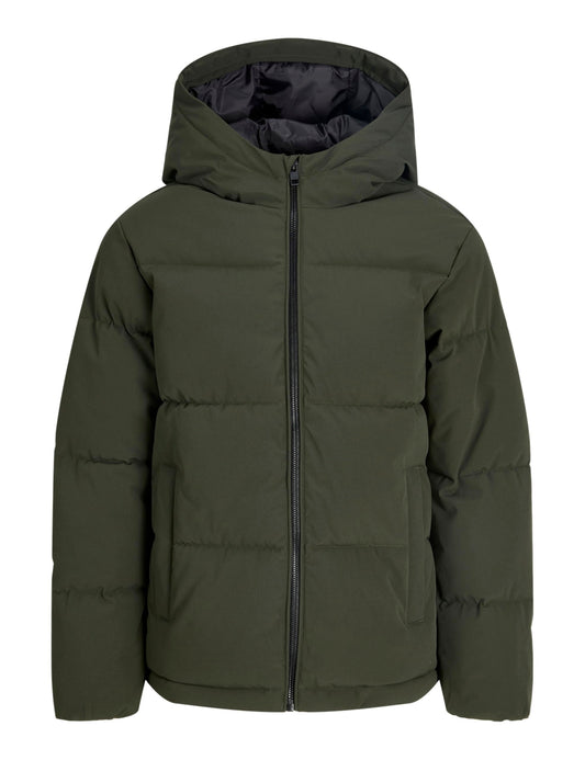 12303956/Rosin JACK JONES KIDS
