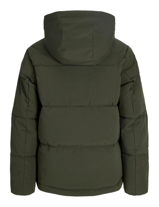 12303956/Rosin JACK JONES KIDS
