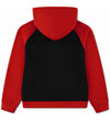 JDN MJ AIR HBR PO HOODIE 