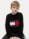 KB0KB10071T/BDS TOMMY HILFIGER