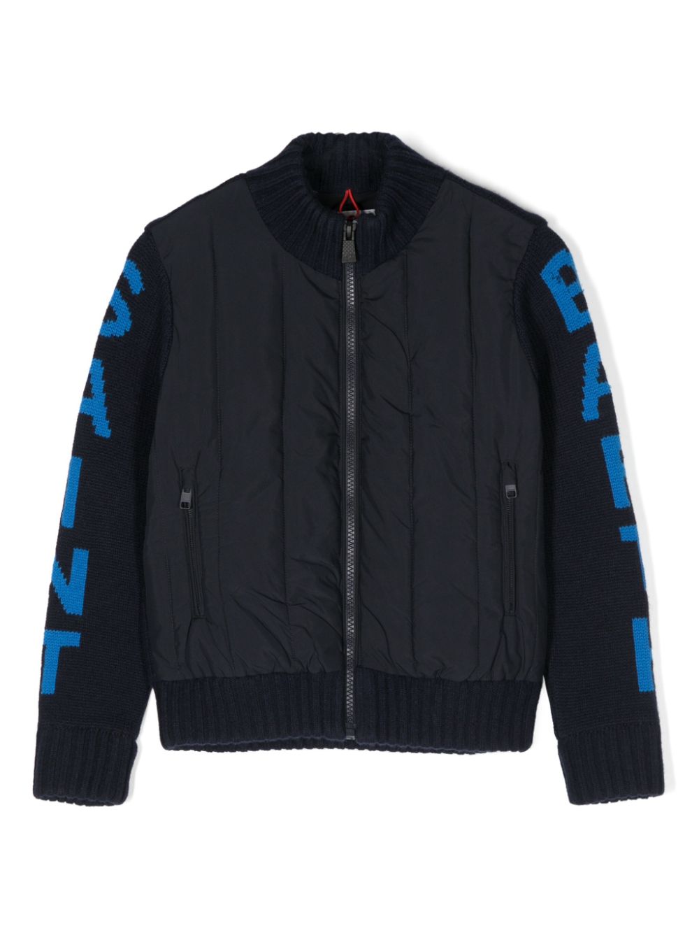 WHISTLER Q JR 