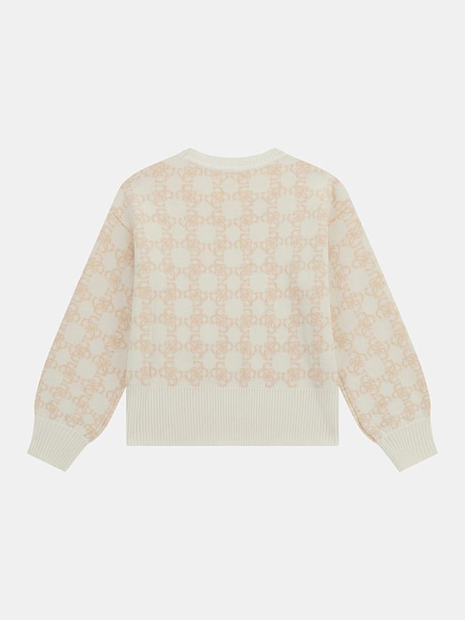 LS SWEATER 