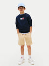 TOMMY SCRIPT FLAG SWEATSHIRT 
