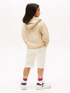 TONAL FLAG EMB  ZIP HOODIE 