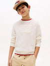 TOMMY SCRIPT FLAG TONAL SWEATE 