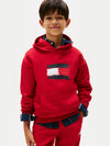 FLAG HOODIE 