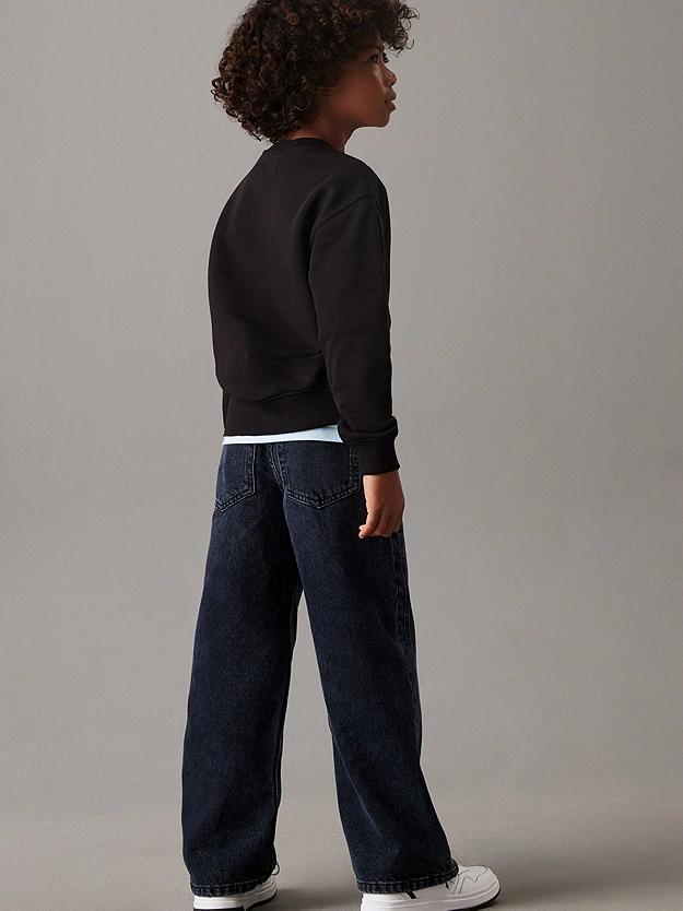 IB0IB02376J/BEH CALVIN KLEIN JEANS