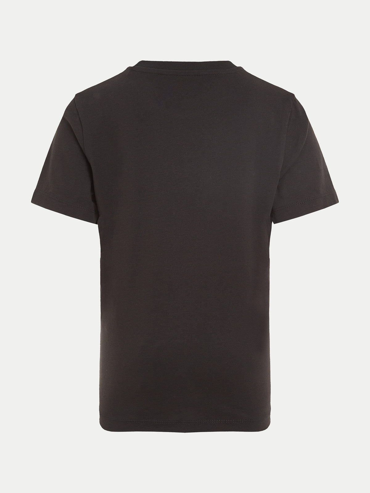 IB0IB02456T/BEH CALVIN KLEIN