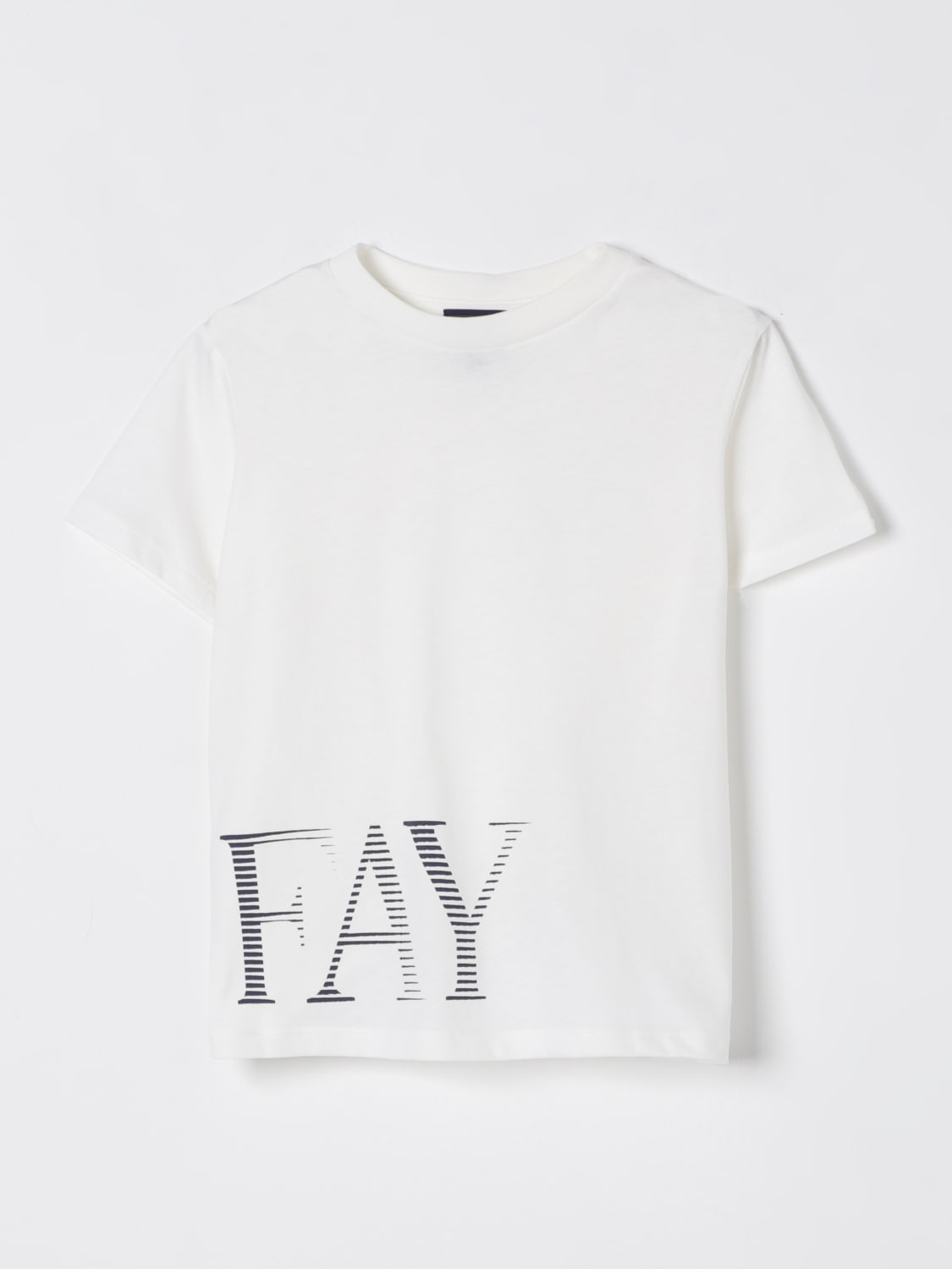 FW8P01 Z1173/178BL FAY
