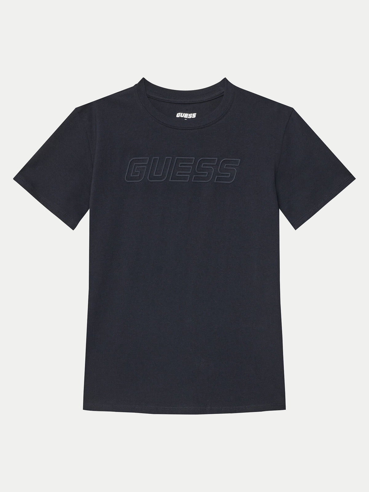 L5RI37J1311/DPM GUESS