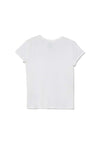 313833549/064 RALPH LAUREN