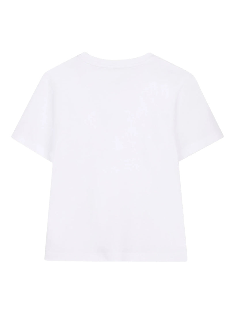N30335/10P LANVIN