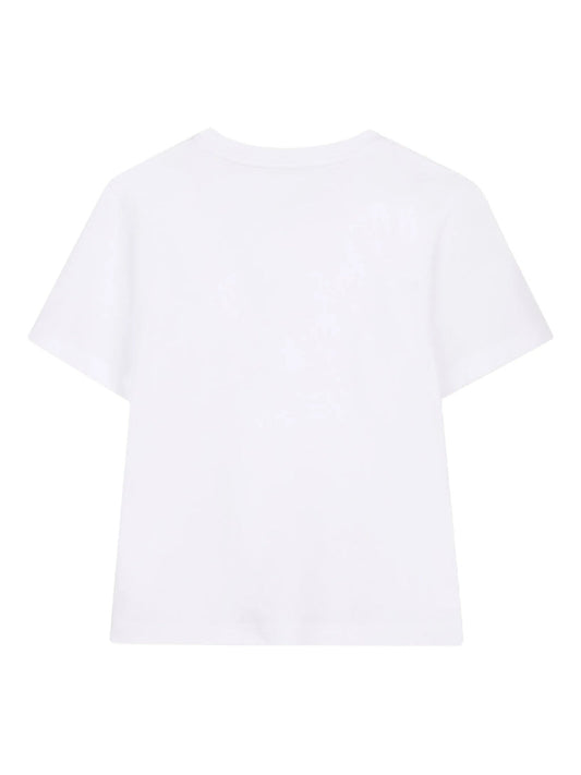 N30335/10P LANVIN
