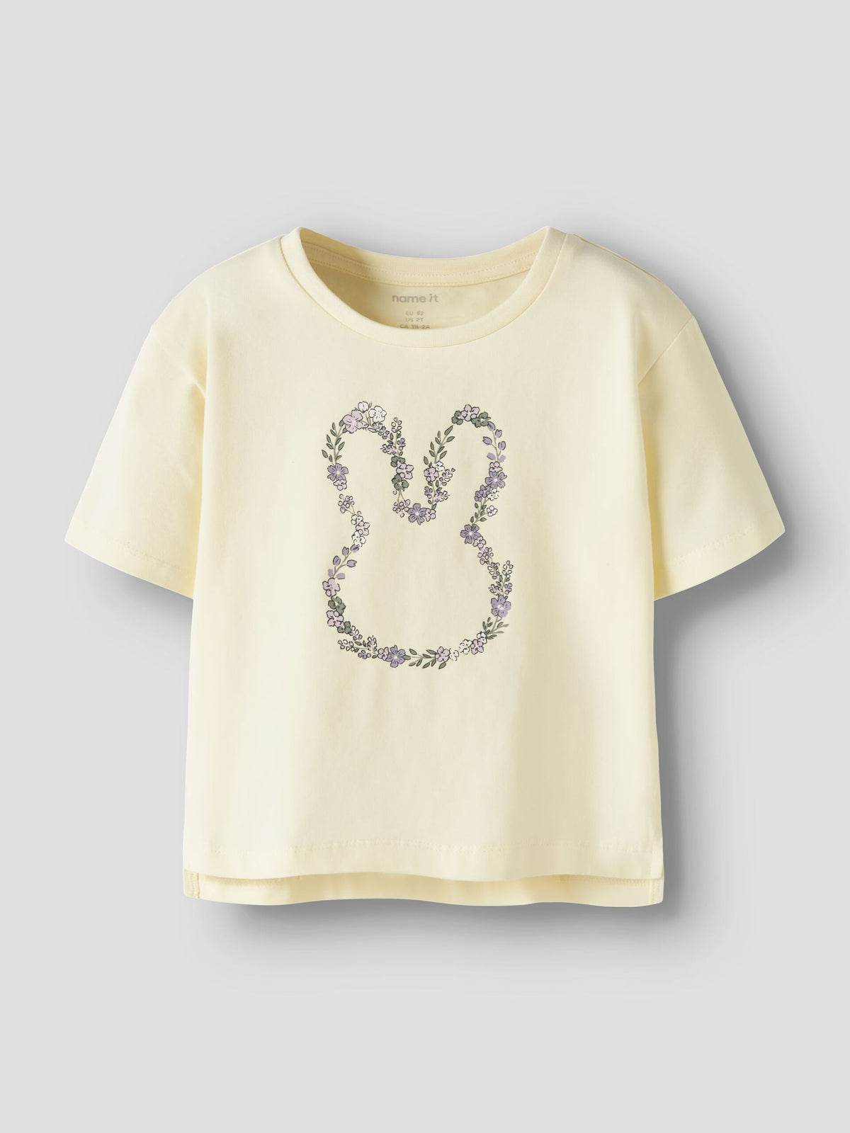 13253642/Pear Sorbet NAME.IT