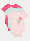 SET 3PCS SS BODY 