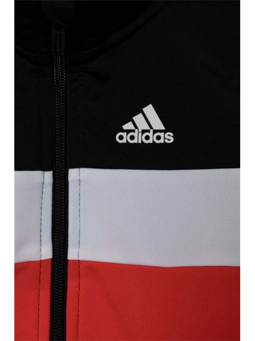 LK TIBERIO TS ADIDAS | IY1806/ND