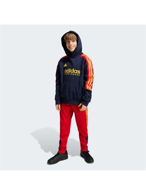 J NP HOODIE ADIDAS | IY6381/ND