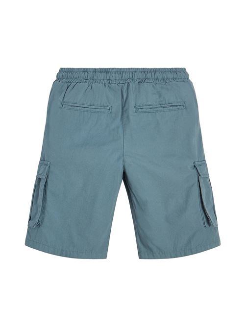 CARGO SHORTS_CORE GUESS | L2RD01D3XN0/G7DV